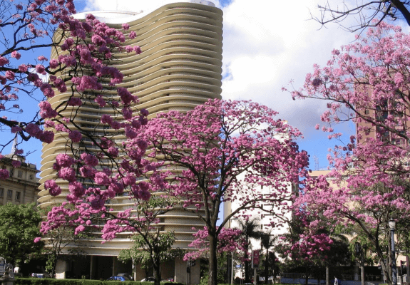 marcelo-tostes-belo_horizonte_svs-575x400