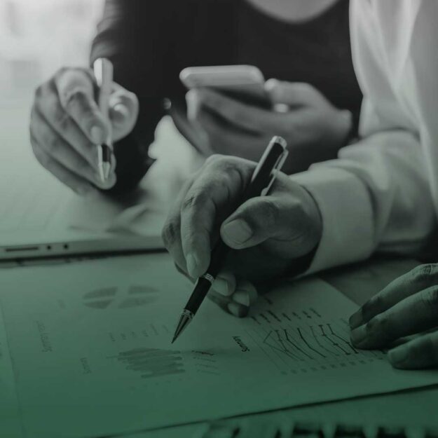 Marcelo Tostes - Área de Atuação, Auditorias Legais