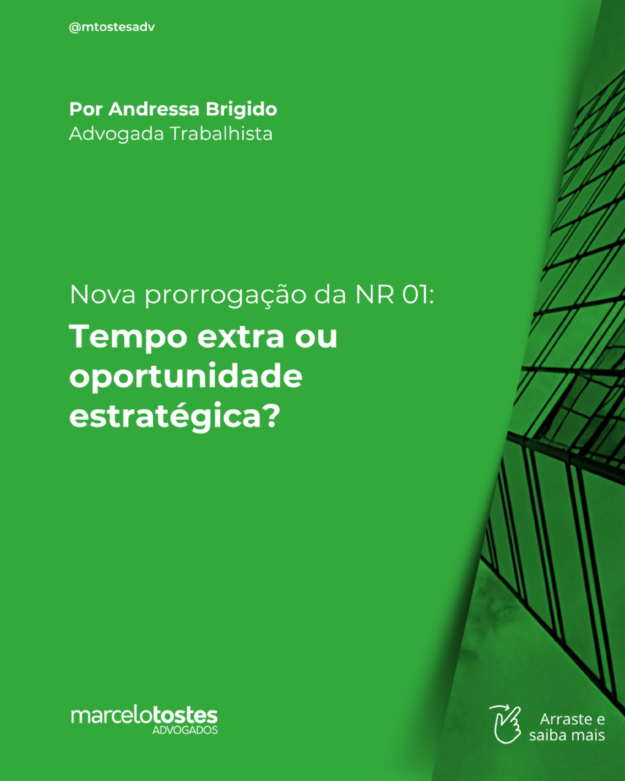 TEMPLATES DE 2025 – OFICIAIS (nova dimensão) (4)